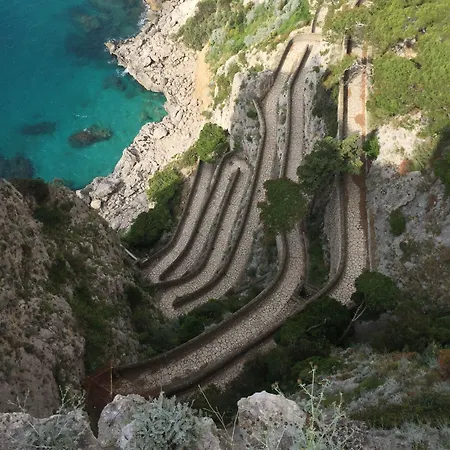 住宿加早餐酒店 西尔维亚公寓 卡普里